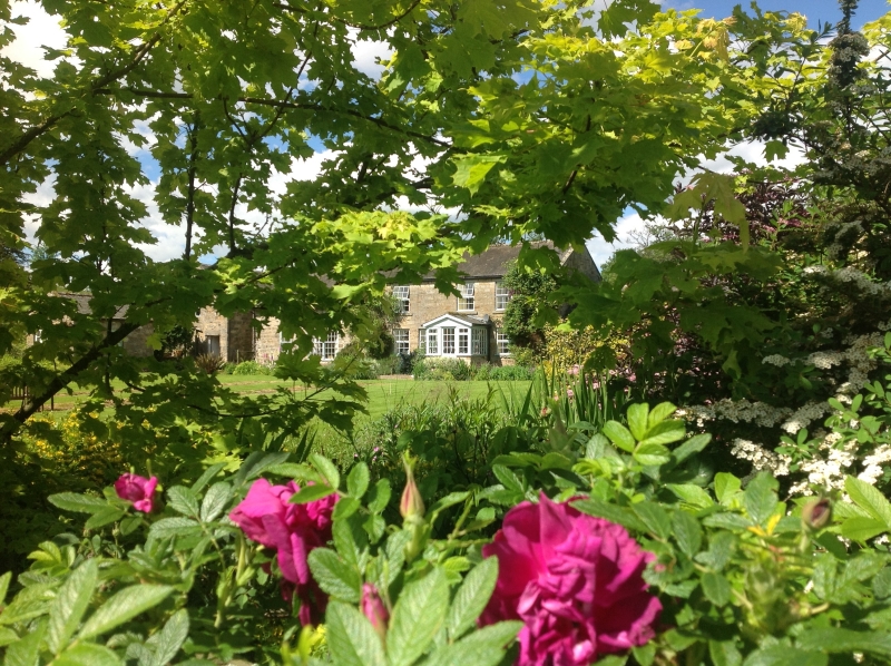 Netherwitton Village Gardens